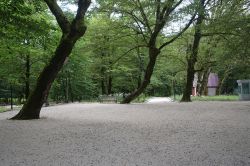 B-lagodekhi-forest-park--2