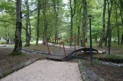 B-lagodekhi-forest-park-1