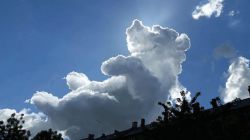 G--oblako-medved