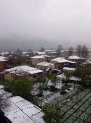 G 08.04.2020 snow in Lagodekhi