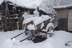 G winter in lagodekhi