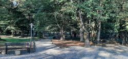 G city park 2