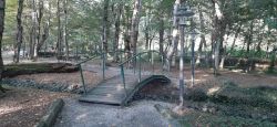 G city park 1