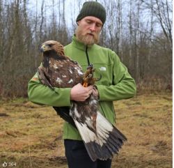 G another bird