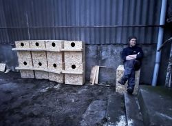 G boxes